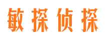 保定职业捉奸人